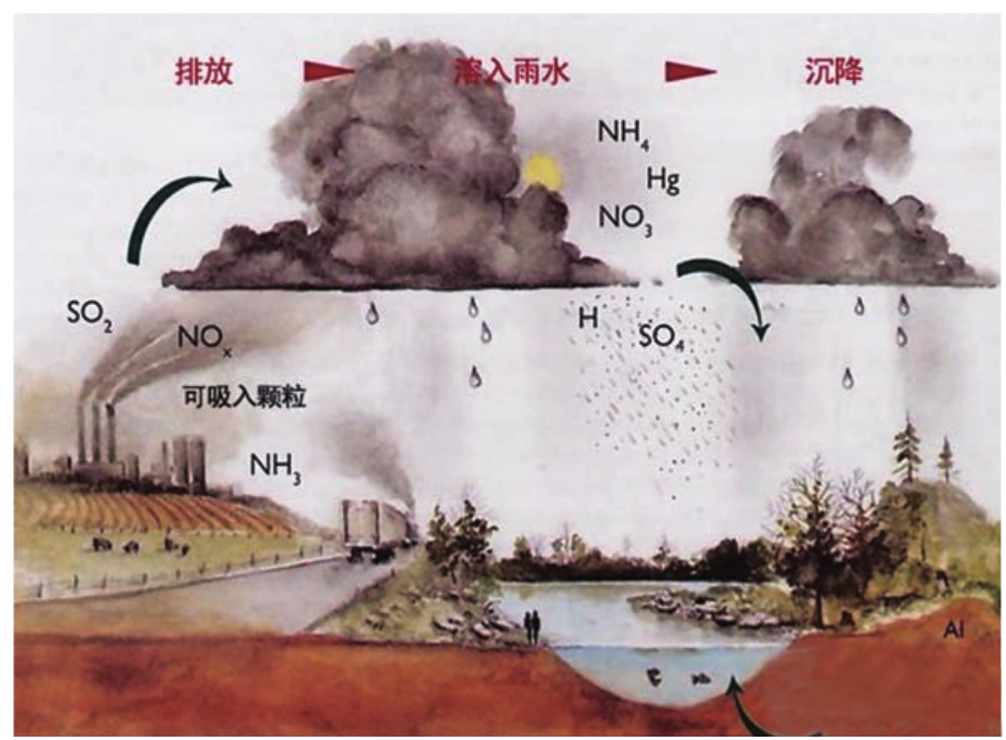 影响酸雨形成的因素滋润大地的雨