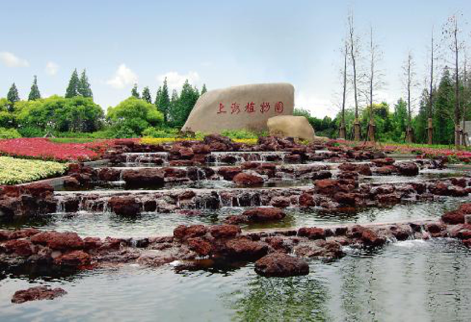 上海植物园牡丹园 - 知乎