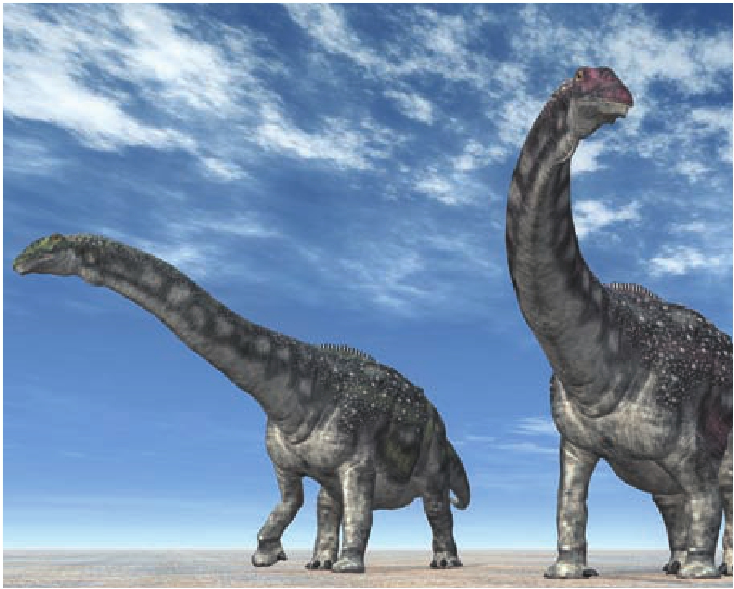 肉食恐龙的类型和特点有哪些？ - 知乎