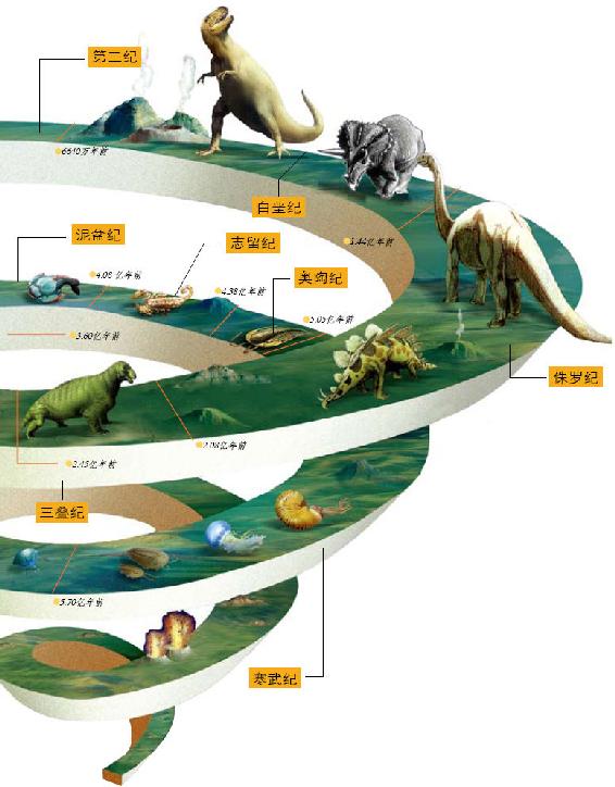 动物进化历程动物世界大百科