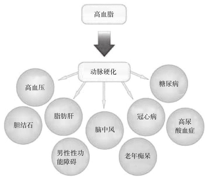 运动防治慢性代谢性疾病的生物化学基础