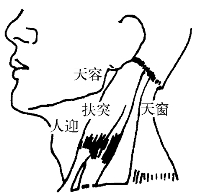 颈肩部常用穴位颈肩腰部疾患自我按摩与功能锻炼