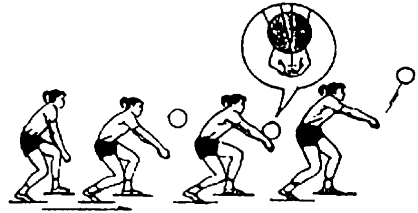 正面双手垫球是各种垫球技术的基础.