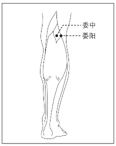 委阳 腘横纹外侧端,当股二头肌腱的内侧.