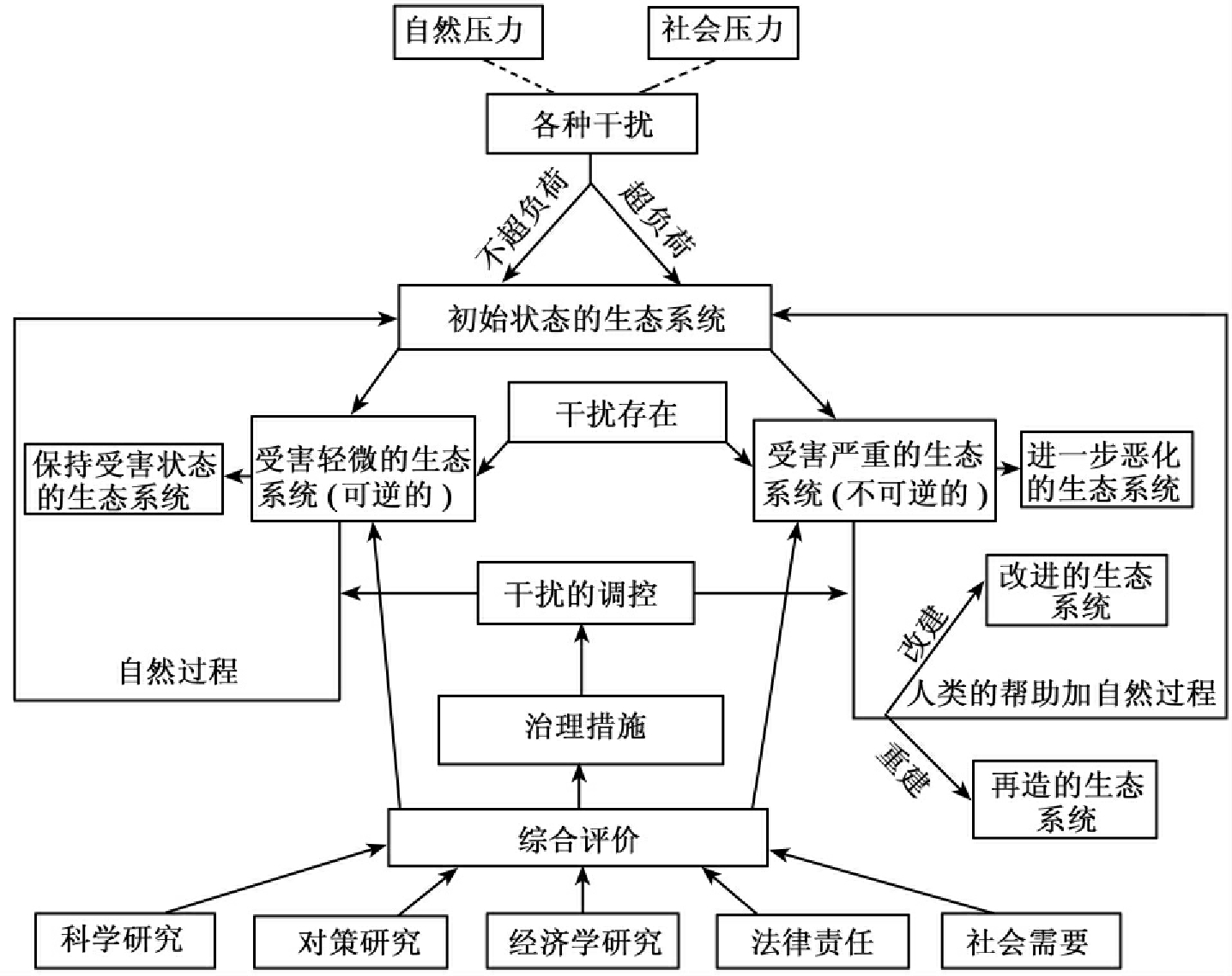 第六节生态系统的生态修复