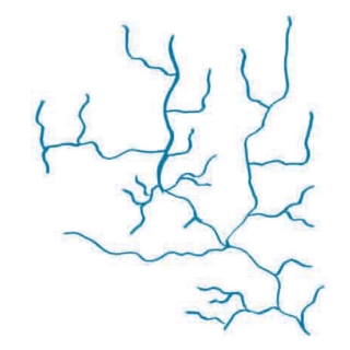 网状水系示意图图片