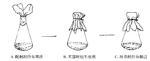 图11 三角瓶的包扎四,玻璃器皿的干热灭菌干热灭菌是利用高温使微生物