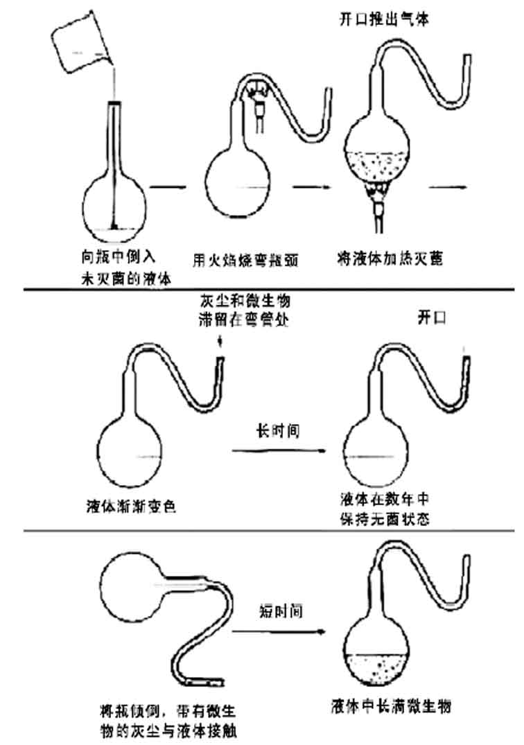 食用菌蒙古包灭菌法图片