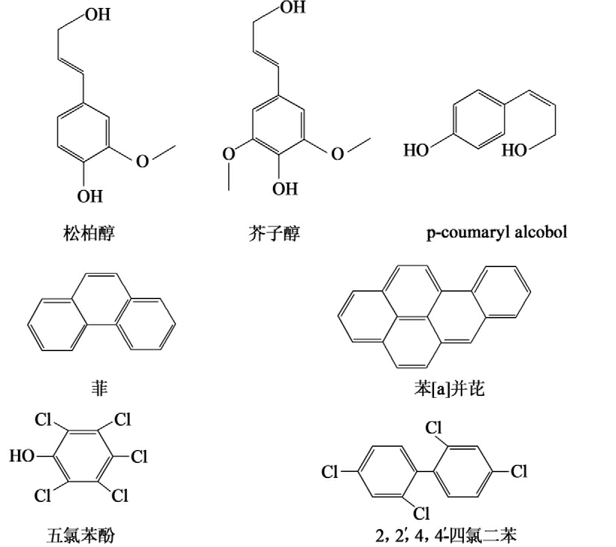 白腐真菌對木質素及類似有機汙染物的生物降解_掛雲帆