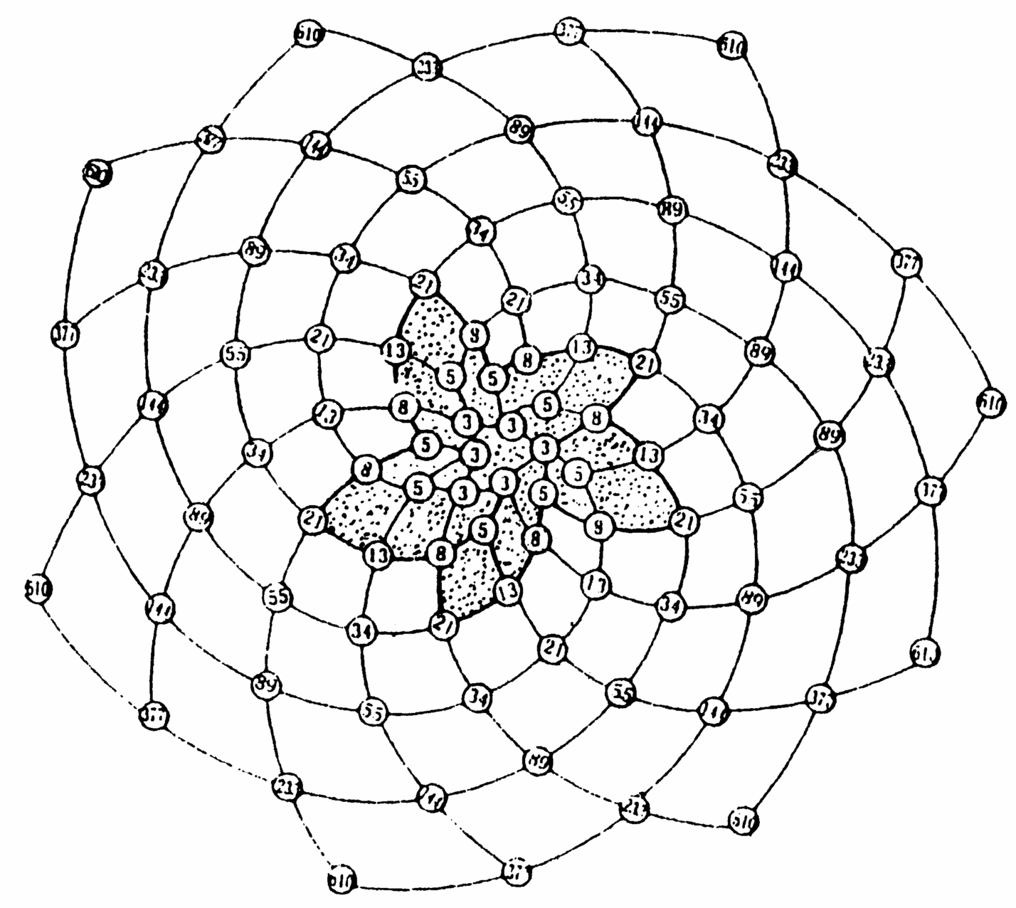 数学海螺线图片