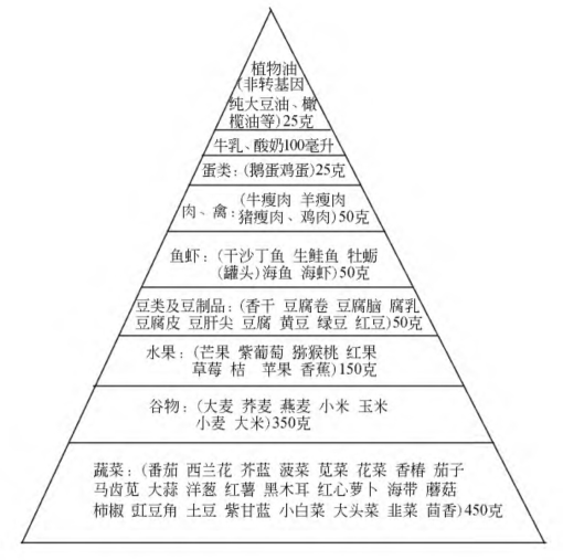 金字塔膳食营养方法抗衰老要有膳食营养的支持