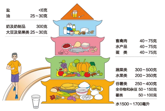 平衡膳食宝塔五层结构图片